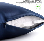 ALASKA BEAR Silk Pillowcase for Hair and Skin, Set of 2 Pure Genuine 22 Momme Mulberry Silk Pillow Cases King Size for Bliss Sleep Better Than Poly Satin, Zipper Closure(2pc, Navy)