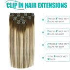 SURNEL Clip in Hair Extensions Human Hair Balayage Walnut Brown to Ash Brown and Golden Blonde Clip in Hair Extensions 14inch 6pcs 100g (#3/8/22,14'')