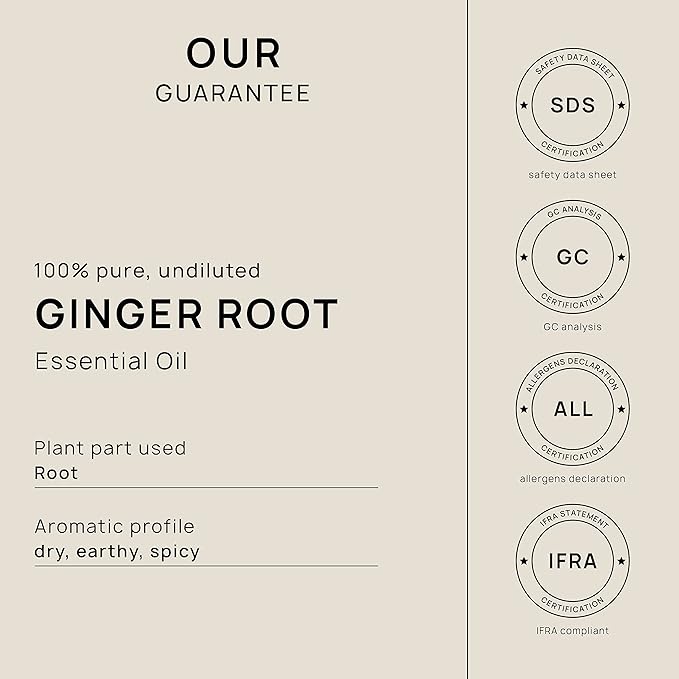 VINEVIDA Dried Ginger Root Essential Oil 32 oz - Undiluted Ginger Root Oil 32 oz - Ginger Root Candle Oil Scent - DIY Candle Scents for Candlemaking - Bulk Essential Oil for Soap Making Safe for Skin