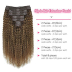 Kinky Curly Clip in Hair Extensions Real Human Hair 4/27/4 Omber Kinky Curly Clip ins For Women 3c 4a Brazilian Virgin Clip on Hair (12inch,#4/27/4)