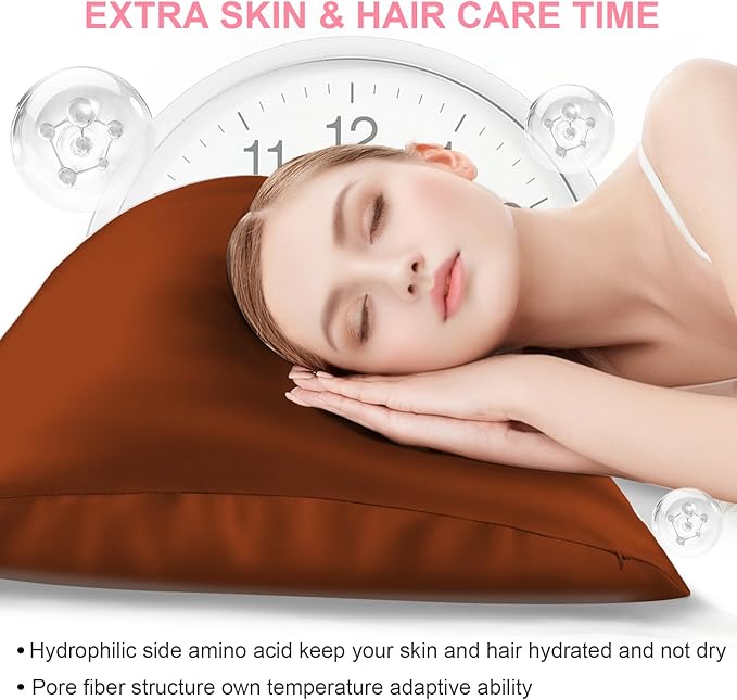 Mulberry Silk Pillow Cases 2 Pack Queen Size 20x30 Inches with Hidden Zipper, Ultra Smooth and Soft Breathable Cooling Silk Satin Pillowcase Set of 2, Better for Hair and Skin, Gifts for Women Men