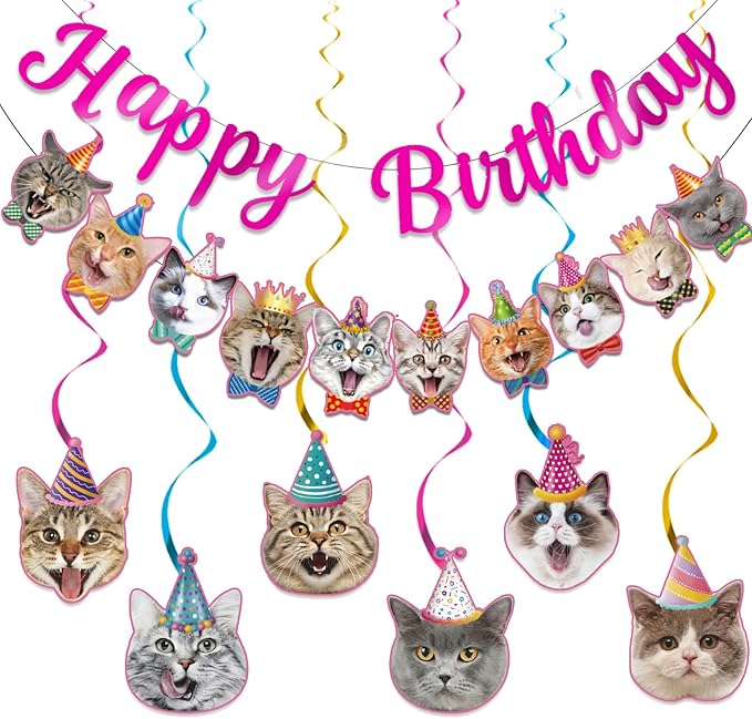 Cat Themed Birthday Party Decorations, Cat Birthday Decorations by Unknown