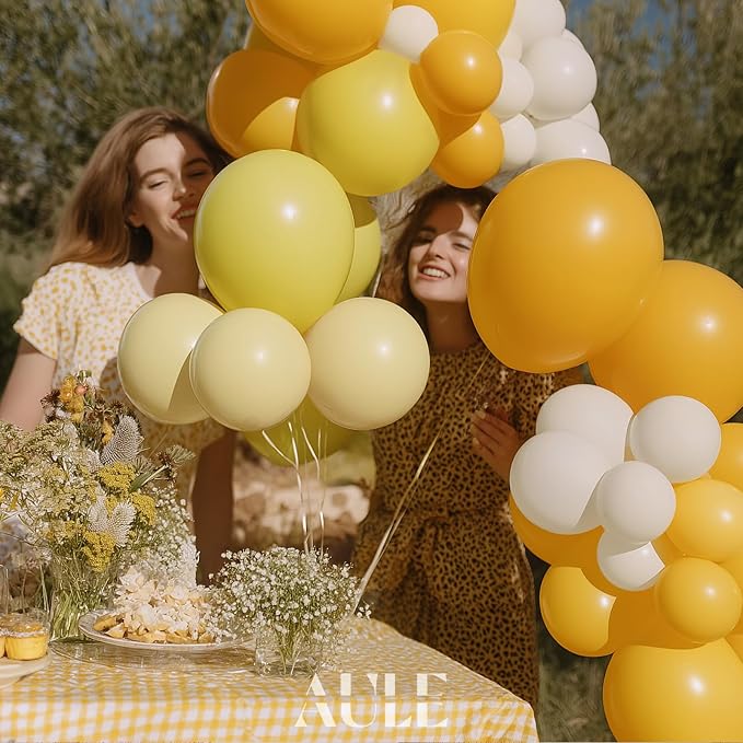 AULE Balloon Arch Kit - Image 3