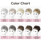 REECHO Hair Topper, Short Wiglet Hair Topper for Women Large Coverage Synthetic Top Crown Hairpiece for Women (Light Ash Blonde)