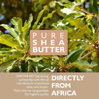 Saryna Key Light Damage Repair Treatment Butter Mask - African Shea Butter for Dry Hair Treatment - Rejuvenating Butter Moisturizer with Natural Keratin and Vitamins A, E, F(300ml/10.14oz)