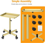 Salon Tray on Wheels - Premium Aluminum Tattoo Tray Rolling Trolley - Adjustable Salon Service Rolling Tray Hairdresser Cart with Clinic Spa Rolling Tray Wheels (Bronze)