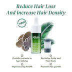 ALFHEIM Saw Palmetto Scalp Serum to Strengthen Follicles | With Caffeine & Biotin for Fuller Hair | Helps Balance Scalp, Revive Hair Roots & Enhance Hair Density | 0.34 fl oz + Serum Applicator