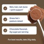 Vital Proteins Grass Fed Collagen Powder Supplement (Type I, III) for Skin Hair Nail Joint - Hydrolyzed Collagen, Grass Fed, Dairy and Gluten Free - Chocolate Flavor, 17.1 oz Canister