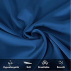 Mulberry Silk Pillowcase for Hair and Skin,Cooling Silk Pillow Case with Hidden Zipper,Allergen Proof Dual Sides Soft Breathable Smooth Silk Pillow Cover for Women (Gem Blue, Body)
