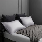 TELUS Pillow Cases Queen Size 2 Pack, Bamboo Rayon & Lyocell Pillowcase with Envelope Closure, Cooling Breathable Pillow Cover for Hot Sleeper & Night Sweats, 20x30 inch, Light Grey