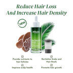 ALFHEIM Saw Palmetto Scalp Serum for Boost Follicle - Infused With Caffeine, Biotin for Thicker Hair - Balance Scalp, Rejuvenate Hair Follicles ＆ Improve Hair Density - 1.69 fl oz + Serum Applicator
