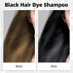 Black Hair Dye Shampoo 3 in 1 for Gray Coverag Color Shampoo for Women/Men Instant Herbal Semi Permanent champu para canas