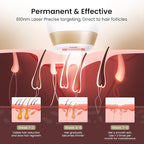 DermRays Laser Hair Removal for Women and Men, V4S for Skin Tone 1-5, Permanent Reduction in Hair Regrowth, The World's First FDA-cleared Home-use Wide-Angleﾠ810nm Laser Hair Removal Device.