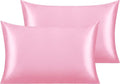 NTBAY 2 Pack Satin Standard Pillowcases for Hair and Skin, Luxurious and Silky Pillow Cases with Envelope Closure, 20x26 Inches, Pink