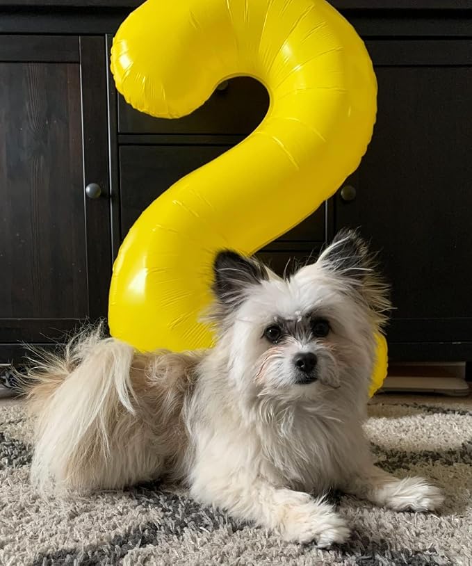 6 Balloon Numbers Birthday Decorations, 40In Yellow Balloons - Image 3