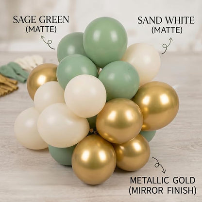 60pcs Sage Green and Gold Balloon Kit, 12 Inch Eucalyptus Olive Green Cream & - Image 6