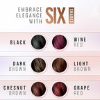 Herbishh Natural Hair Dye Shampoo with Argan Mask - Long-Lasting Color for Gray Hair - Travel Size, 10+1 Pack, Ammonia-Free (Black)