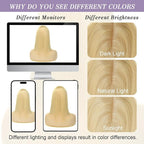14 Inch Length Hair Toppers for Women with Thinning Hair, 3x5 Inch Injected Silk Base 130% Density Hairpieces #613 Bleach Blonde
