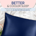 Blissy Silk Pillowcase - 100% Pure Mulberry Silk - 22 Momme 6A High-Grade Fibers - Silk Pillow Cover for Hair & Skin - Regular, Queen & King (Blue, Standard)