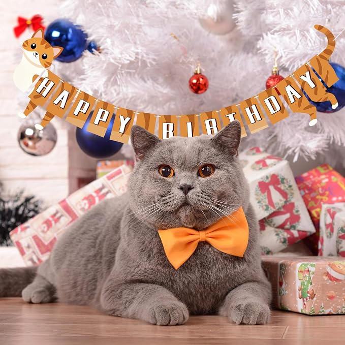 Cat Happy Birthday Banner Orange Cat Banner Bunting Flag Garland Party - Image 5