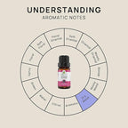 VINEVIDA Red Thyme Essential Oil 10 mL - Undiluted Candle Scent DIY Scents for Candlemaking Soap Making Safe Skin, 1.33 Ounces