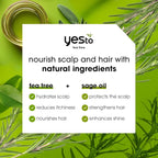Yes To Tea Tree Scalp Relief Conditioner, Finishing Step To Calm Dry Itchy Scalp, Hydrates & Softens Hair With Long Lasting Moisture, With Tea Tree & Sage Oil, Natural, Cruelty Free, 12 Fl Oz 2PK