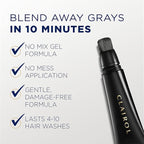 Clairol Root Touch-Up Semi-Permanent Hair Color Blending Gel, 8 Blonde, Pack of 1