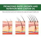 Jamaican Black Castor Oil - 100% Pure Organic Cold Pressed for Hair Growth, Eyelash/Eyebrow Serum, Scalp and Nail Care, Glass Bottle (2.02 Fl Oz) (small, castor)
