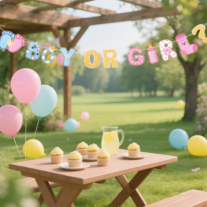 Boy or Girl Banner Baby Gender Reveal Decorations, Pre-Strung Cute Boy or Girl - Image 4
