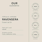 VINEVIDA Ravensara Essential Oil 16 oz - Undiluted Ravensara Oil 16 oz - Ravensara Candle Oil Scent - DIY Candle Scents for Candlemaking - Bulk Essential Oil for Soap Making Safe for Skin