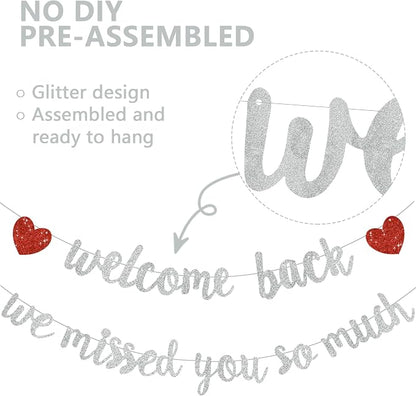 Glitter Silver Welcome Back We Missed You So Much Banner NO DIY | Pre-Strung - Image 2