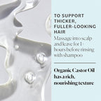 Sky Organics - Castor Oil Organic - Volumizing Hair Oil - Scalp, Lashes, Brows - Pure Castor Oil Cold Pressed - Natural Conditioner - Omega Fatty Acids, Vegan - Beauty, Hair,16oz, 2 Pack w Ebook