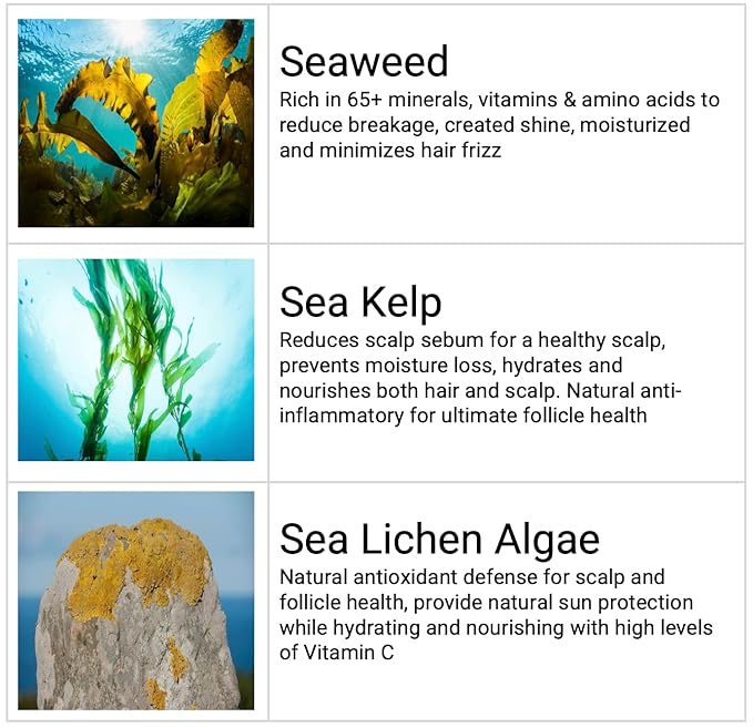 Shampoo and Conditioner Set - Seaweed Hydrating Shampoo and Sea Kelp Daily Conditioner to nourish dry damaged hair, repair and bond damange and reduce frizz
