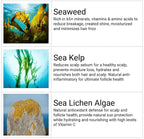 Shampoo and Conditioner Set - Seaweed Hydrating Shampoo and Sea Kelp Daily Conditioner to nourish dry damaged hair, repair and bond damange and reduce frizz