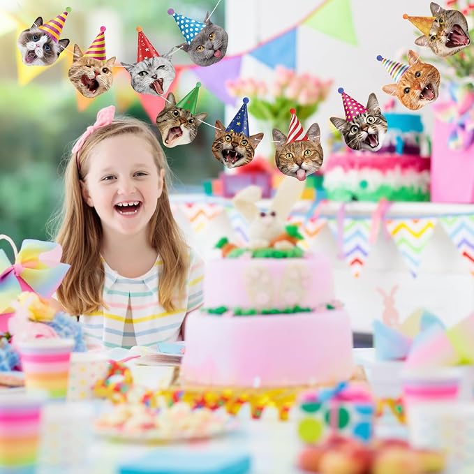 Hooqict Cat Birthday Banner Birthday Party Decorations - Image 3