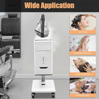 110V 500W Nano Hair Steamer, Electric Multifunctional Anion Hair Dyeing Machine, Hair Oil Machine with 2 Steamed HairHats & 4 Wheels, Stand Up Base Salon Spa Equipment