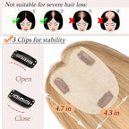 Human Hair Toppers for Women with Thinning Hair Real Human Topper Crown No Bangs 10 Inch #12P613 Golden Brown mix Bleach Blonde