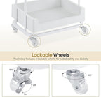 BarberPub Salon Trolley Cart with Lockable Wheels, Salon Cart with Drawer, Storage Trolley for Barber Shop, Spa 2086 (White)