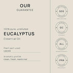 VINEVIDA Eucalyptus Essential Oil 32 oz - Undiluted Eucalyptus Oil 32 oz - Eucalyptus Candle Oil Scent - DIY Candle Scents for Candlemaking - Bulk Essential Oil for Soap Making Safe for Skin