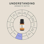 VINEVIDA Orange Sweet Essential Oil - Undiluted Orange Oil - DIY Candle Scents for Candlemaking - 10 mL Safe for Skin