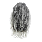 Baruisi Long Curly Wavy Grey Wigs for Men Synthetic Natural Party Halloween Cosplay Hair Wig