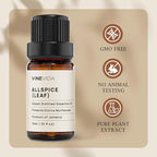 VINEVIDA Allspice Essential Oil - 10mL, DIY Candle Scents & Soap Making Base