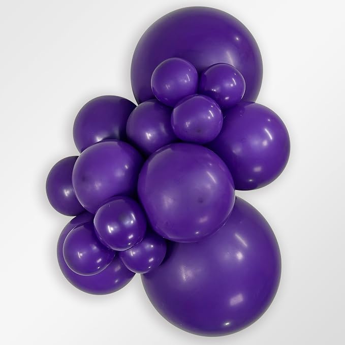 Sempertex Fashion Violet Balloons, 5 Inch, Graduation, Baby Shower, Anniversary - Image 2