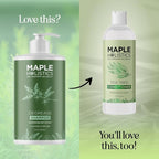 Maple Holistics Clarifying Shampoo for Oily Hair and Scalp - Deep Cleansing Shampoo Build Up Remover with Rosemary Oil - for Greasy Hair & Scalp - Vegan Color Safe Sulfate & Paraben Free (25 Fl Oz)