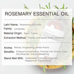Rosemary Essential Oil 100ML, 100% Pure Rosemary Oil for Hair Growth, Premium Grade Aromatherapy Oils for Skin Care, Body Massage, Diffuser, Soap and Candle Making