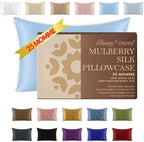 25 Momme Premium Mulberry Silk Pillowcase for Hair and Skin | Handcrafted Hypoallergenic & Anti-Acne Silk Pillow Cases with Zipper | Queen - 20" x 30", Frosty Blue