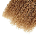 1B27 Bundles Human Hair Ombre Blonde Kinky Curly Bundle Virgin Remy Hair 3 Bundles 14 16 18 Inch Niegmeag Double Weft Soft and Silky 2 Tone Black and Honey Blonde Bundle 300g