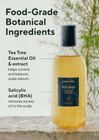AROMATICA Clarifying Tea Tree Shampoo, Organic Tea Tree Oil, Natural, Dandruff, and Itchy Scalp Care, scalp exfoliator, for Men & Women, include Mint and Peppermint, Sulfate Free, Vegan, 13.5 fl oz