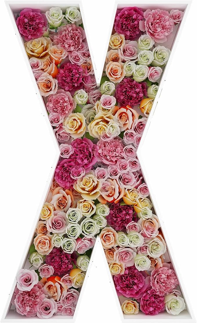 2FT Letter X Mosaic Balloon Frame Letter DIY Fillable Letters Kit by JW+Passion+-+Premium+Quality%2C+Made+With+Passion