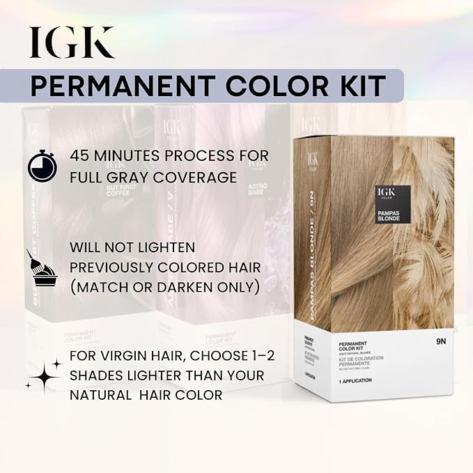 IGK Permanent Hair Color Kit | 2N 00:00 - Black | 100% Gray Color Coverage + Strengthen + Shine | Ammonia Free